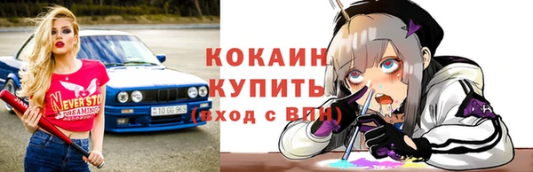 ECSTASY Алзамай