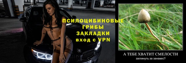 крисы Алексеевка