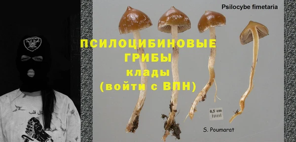 ECSTASY Алзамай