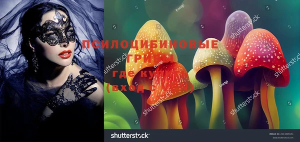 крисы Алексеевка