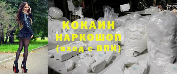 ECSTASY Алзамай
