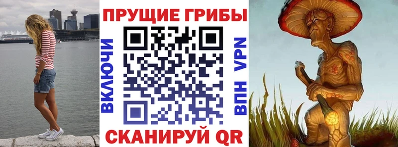 Псилоцибиновые грибы Psilocybine cubensis  МЕГА как зайти  Калач-на-Дону  дарнет шоп 